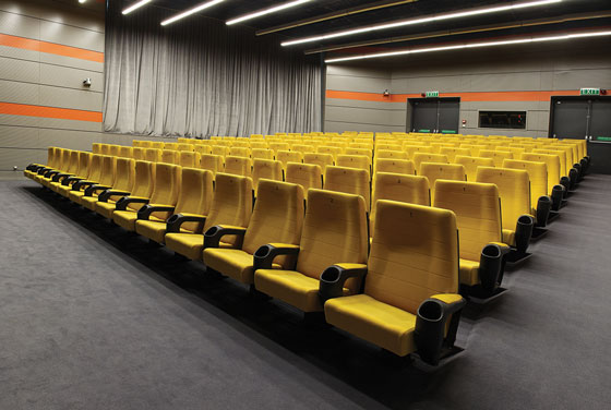 What factors affect the price of cinema seats and gatherings?